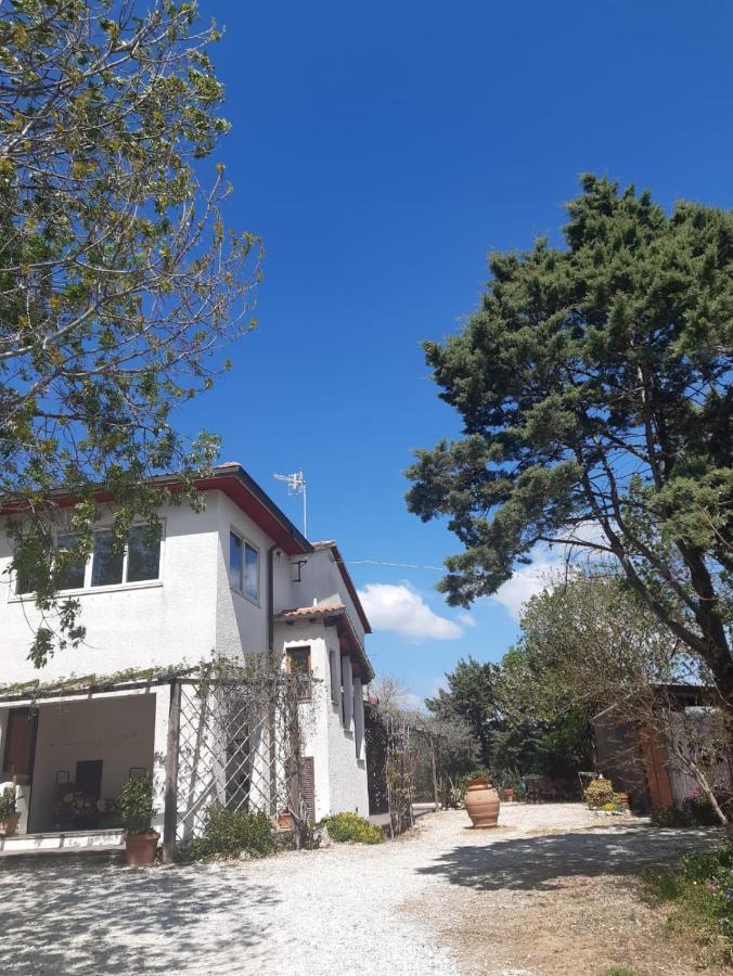 Agriturismo La Locandiera Монтемерано Екстер'єр фото