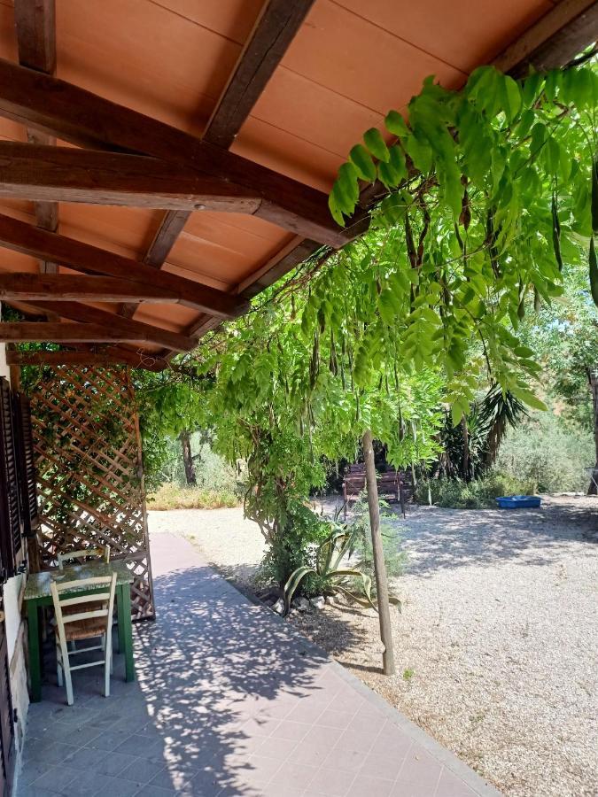 Agriturismo La Locandiera Монтемерано Екстер'єр фото