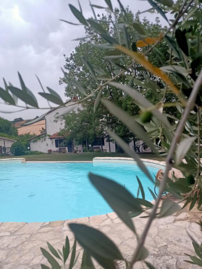 Agriturismo La Locandiera Монтемерано Екстер'єр фото