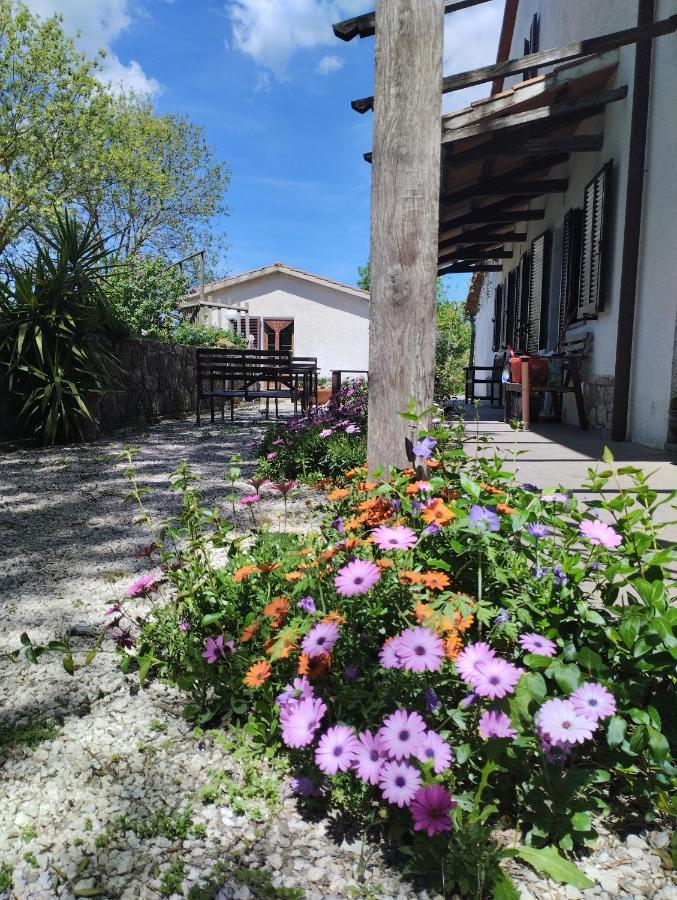 Agriturismo La Locandiera Монтемерано Екстер'єр фото