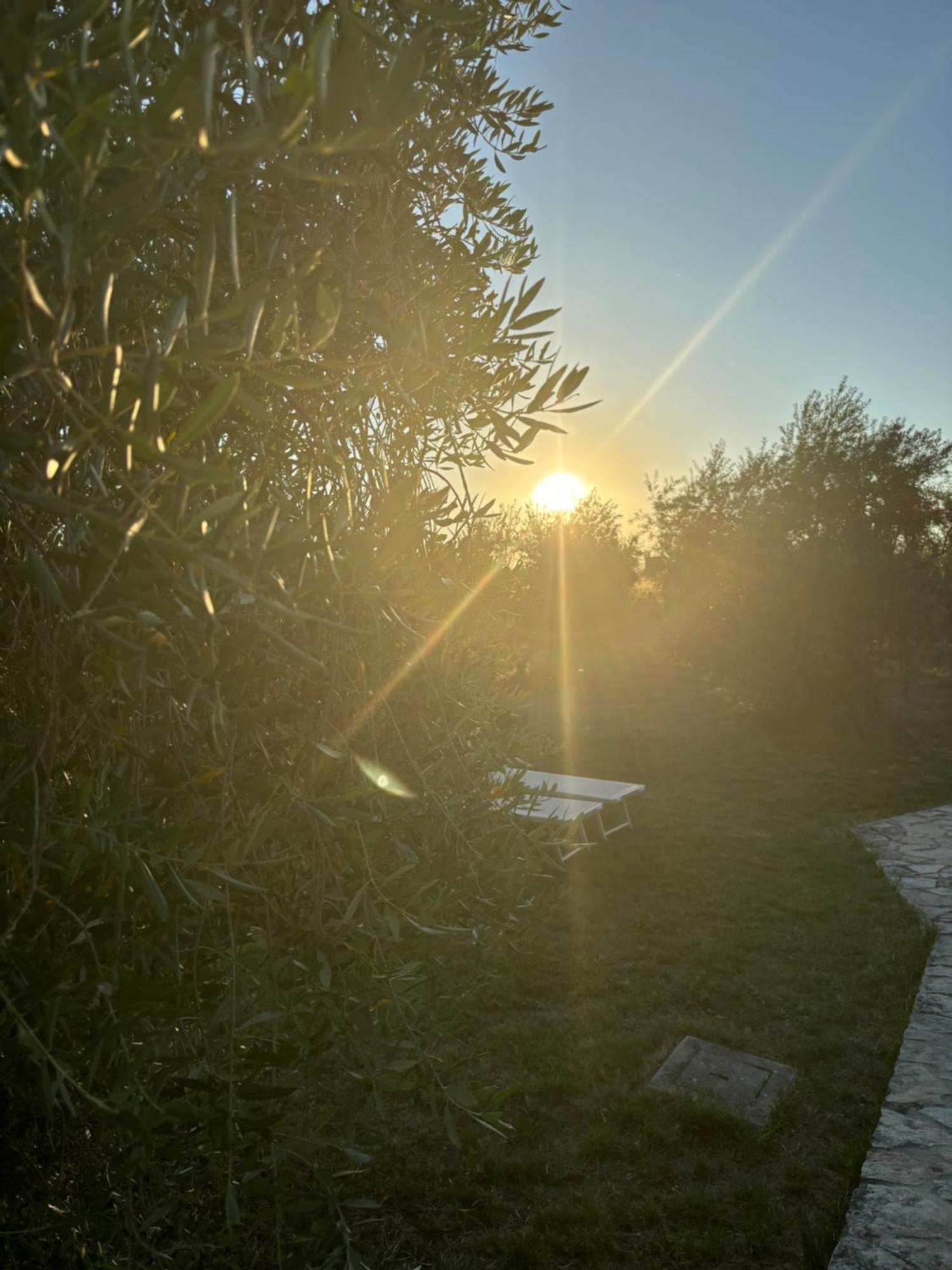 Agriturismo La Locandiera Монтемерано Екстер'єр фото